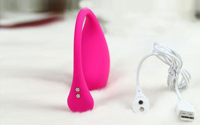 Shop bán Dụng cụ trứng rung Lovense Lush 3 điều khiển xa bằng điện thoại  nhập khẩu